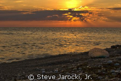 Portuguese Man-of-War found on Jupiter Beach Florida at s... by Steve Jarocki, Jr. 